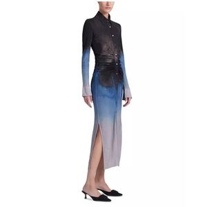 Altuzarra Claudia' dress Ombre Dress